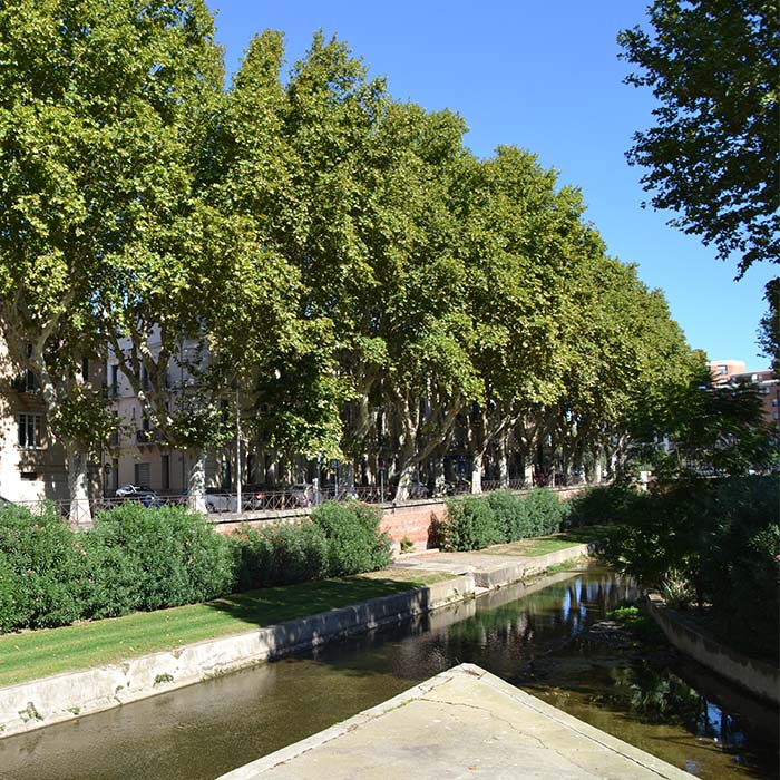 Vicoria-1-Perpignan-Groupe-Finale-Diffusion